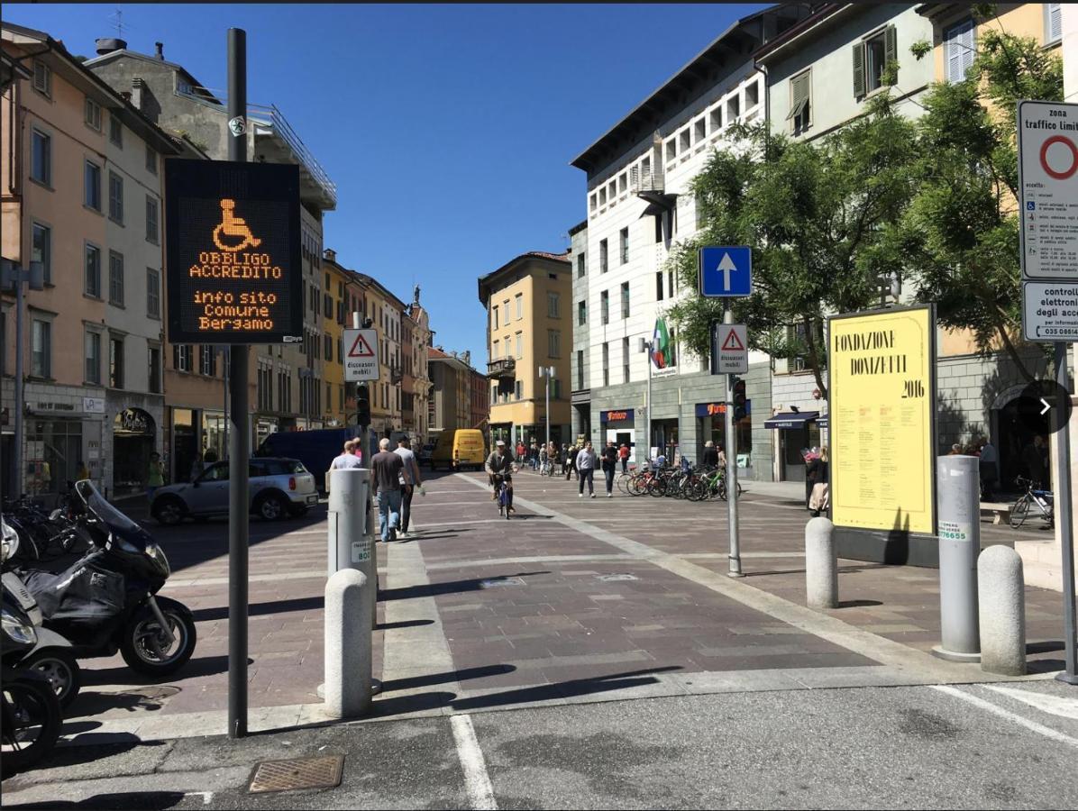 Fenix Apartament